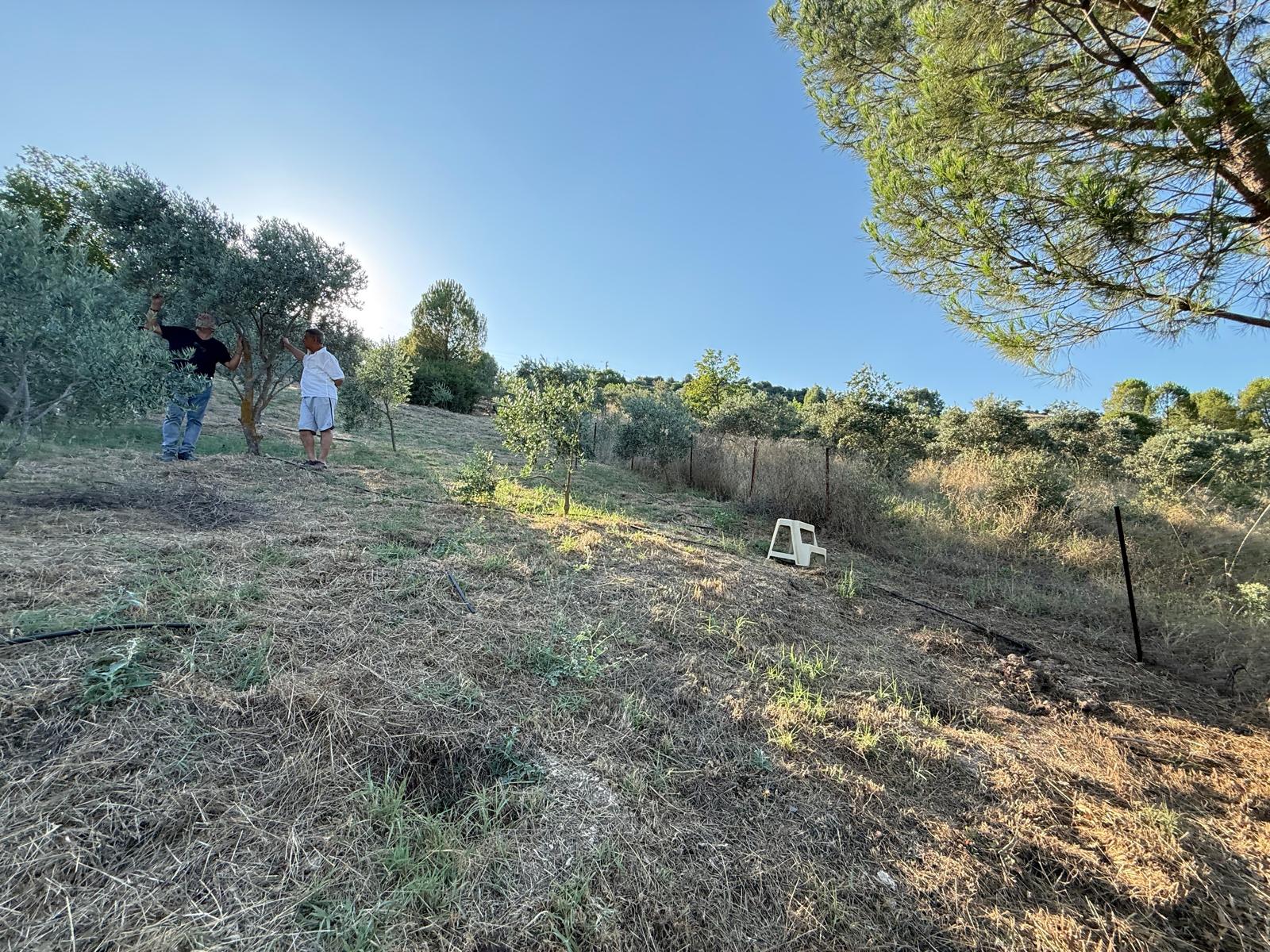Muğla Yatağan Yava Mahalle Köy İçi İmarlı 1.654 m2 Satılık Arsa