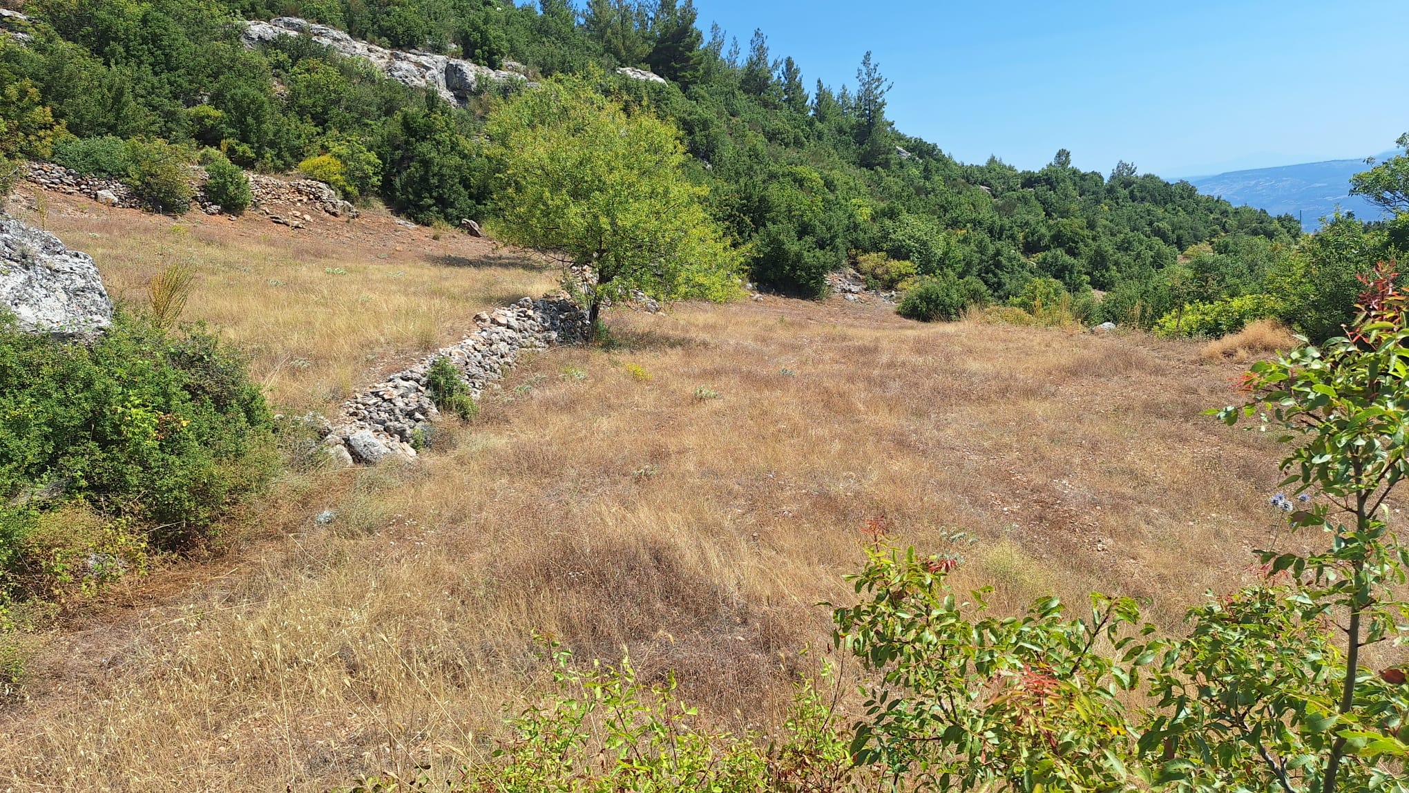 Muğla Menteşe Günlüce Mah. Yerleşim Alanı İçinde Satılık Arazi - fotoğraf 1