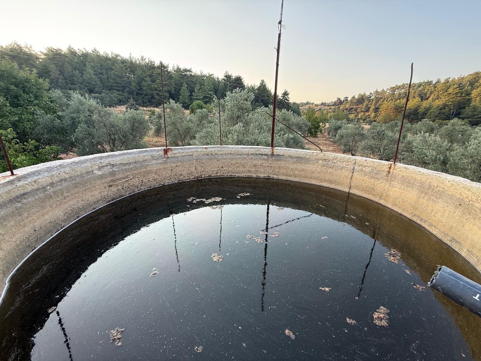 Muğla Yatağan Yayla Mahallesinde 9.312 m2 Satılık Ceviz Bahçesi - fotoğraf 1