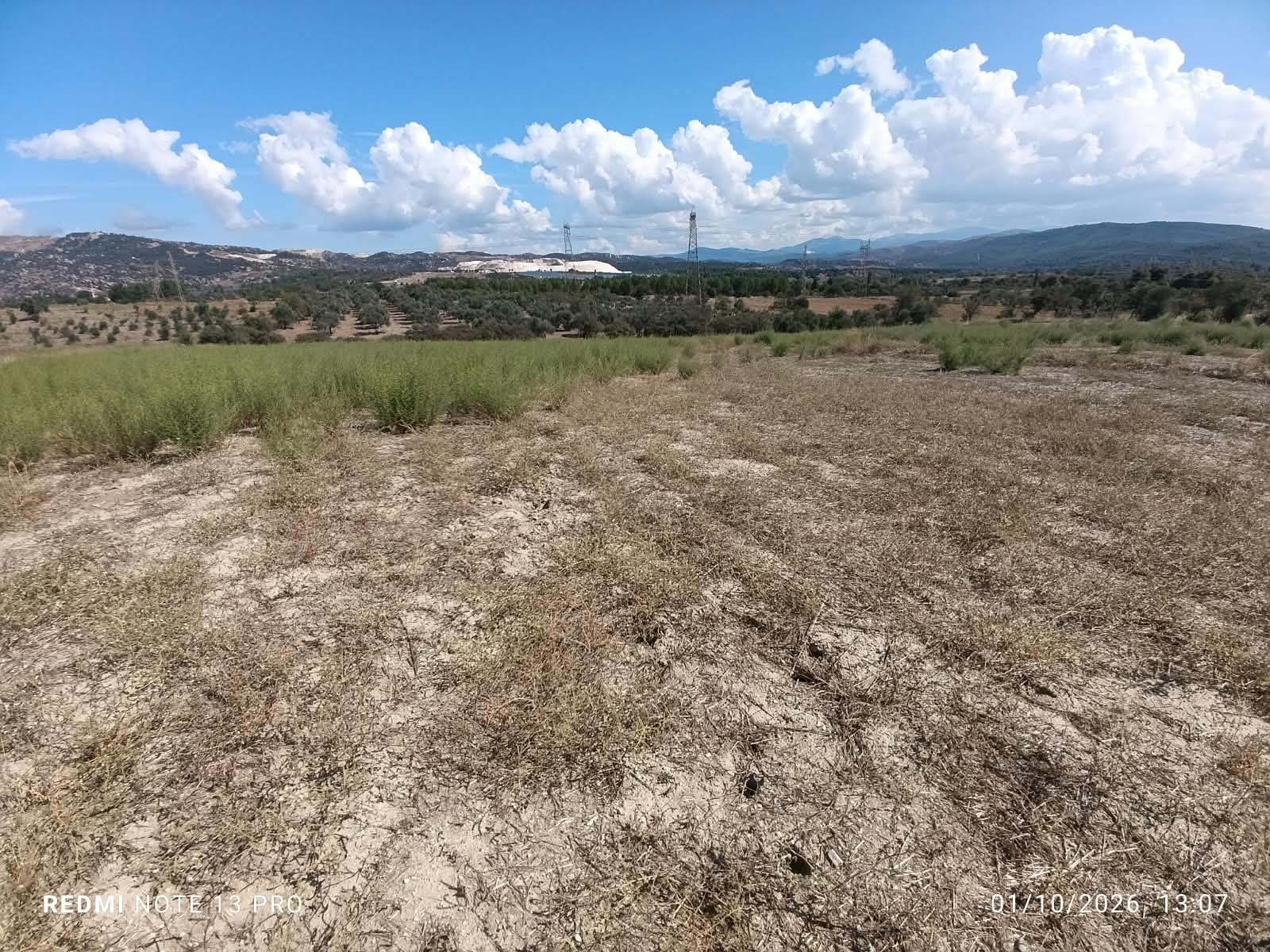 Muğla Yatağan Hisarardı Mah. Acil Satılık 15.276 m2 Tarla